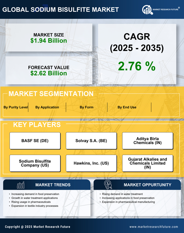 Sodium Bisulfite Market Research Report - Global Forecast by 2035 Infographic