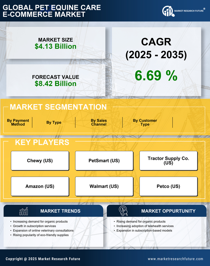 Pet Equine Care E-Commerce Market Research Report — Global Forecast till 2035 Infographic
