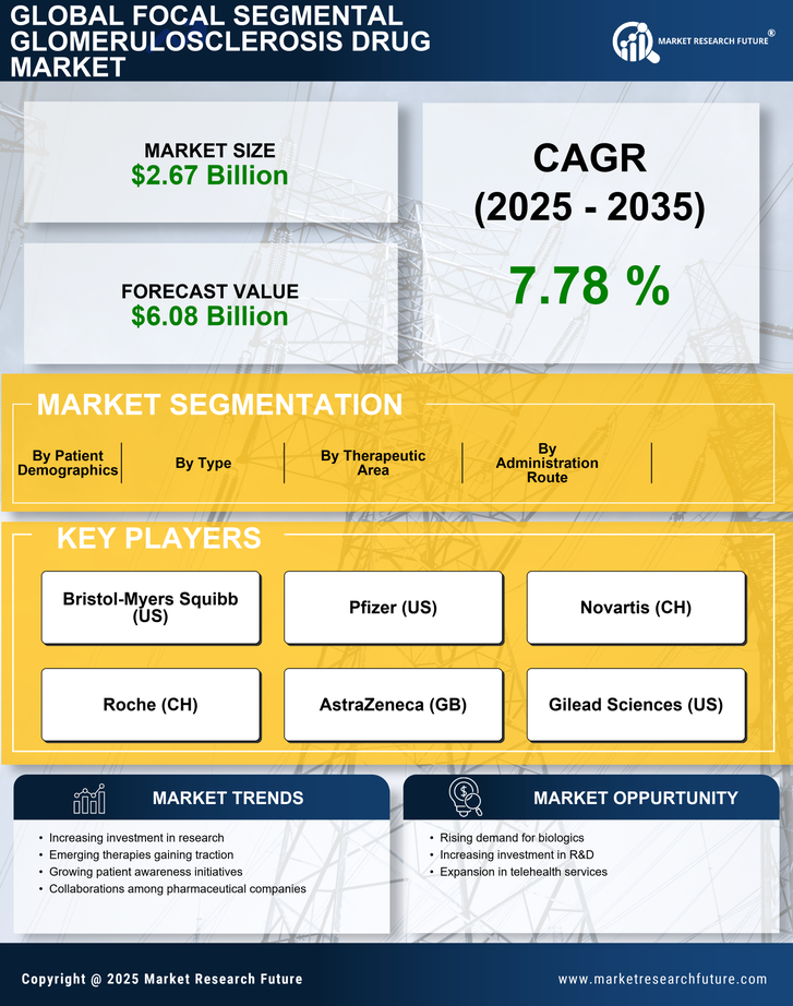 Focal Segmental Glomerulosclerosis Drug Market Research Report — Global Forecast till 2035 Infographic