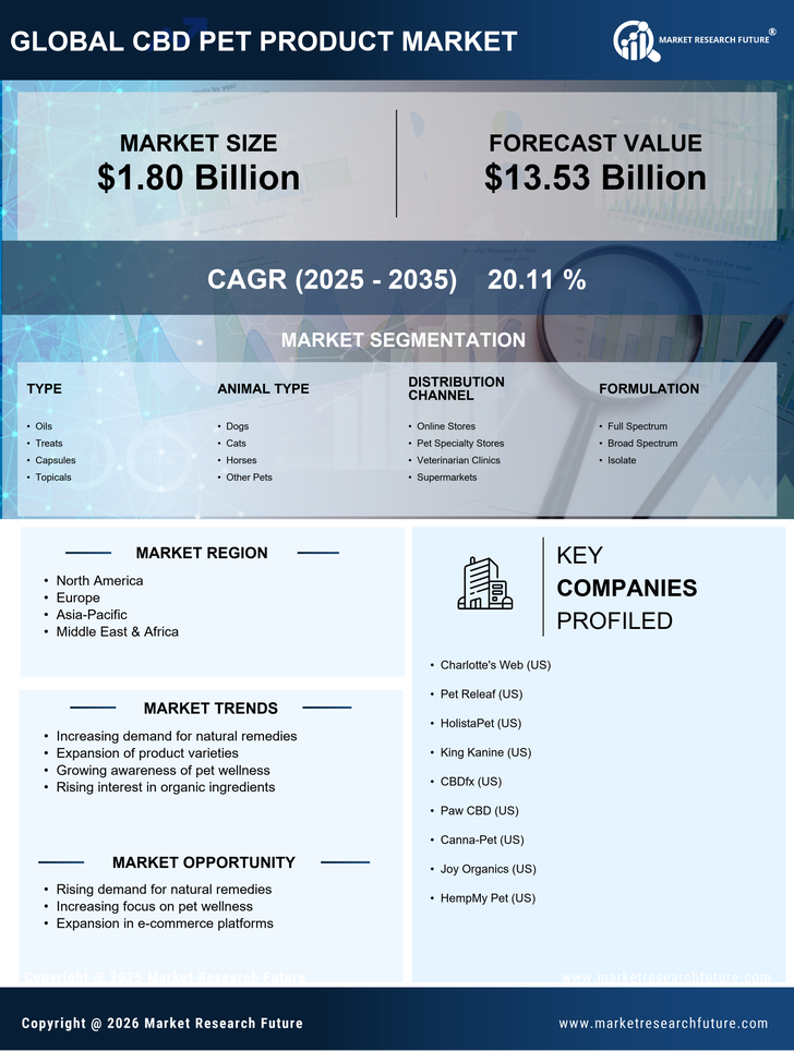 CBD Pet Product Market Research Report — Global Forecast till 2035 Infographic
