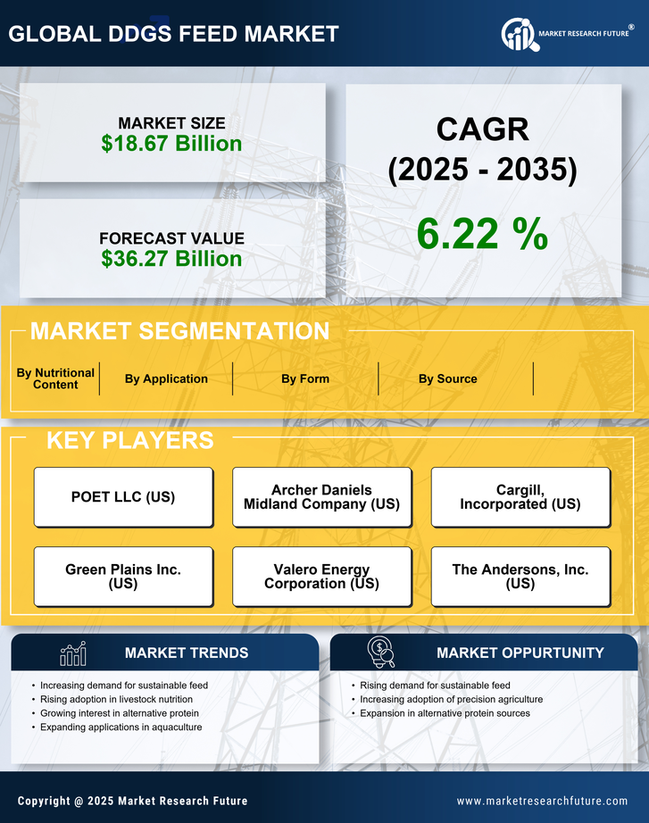 DDGS Feed Market Research Report — Global Forecast till 2035 Infographic