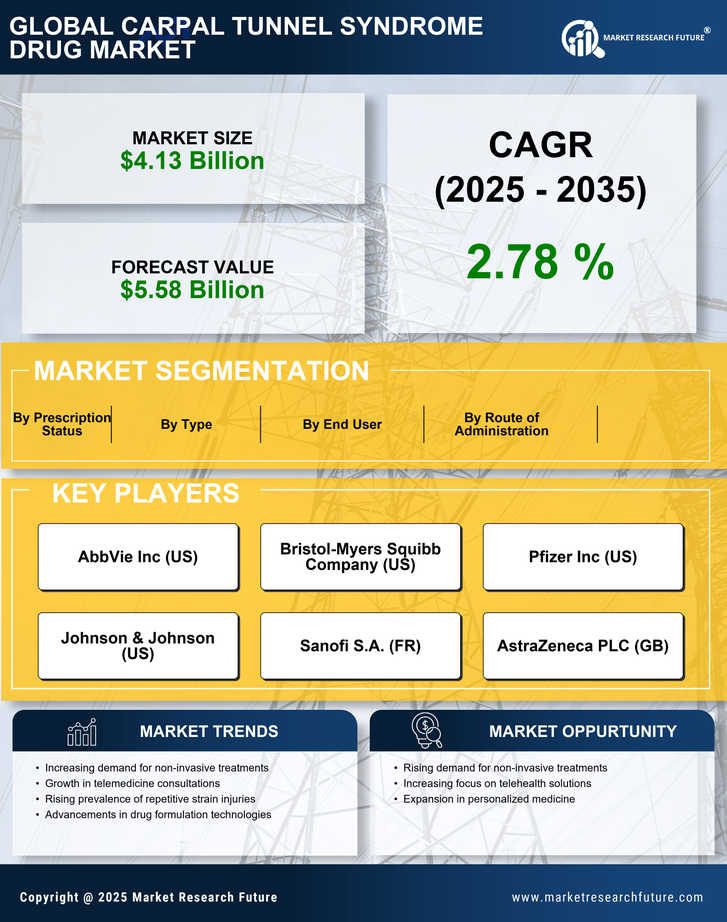 Carpal Tunnel Syndrome Drug Market Research Report - Forecast 2035 Infographic