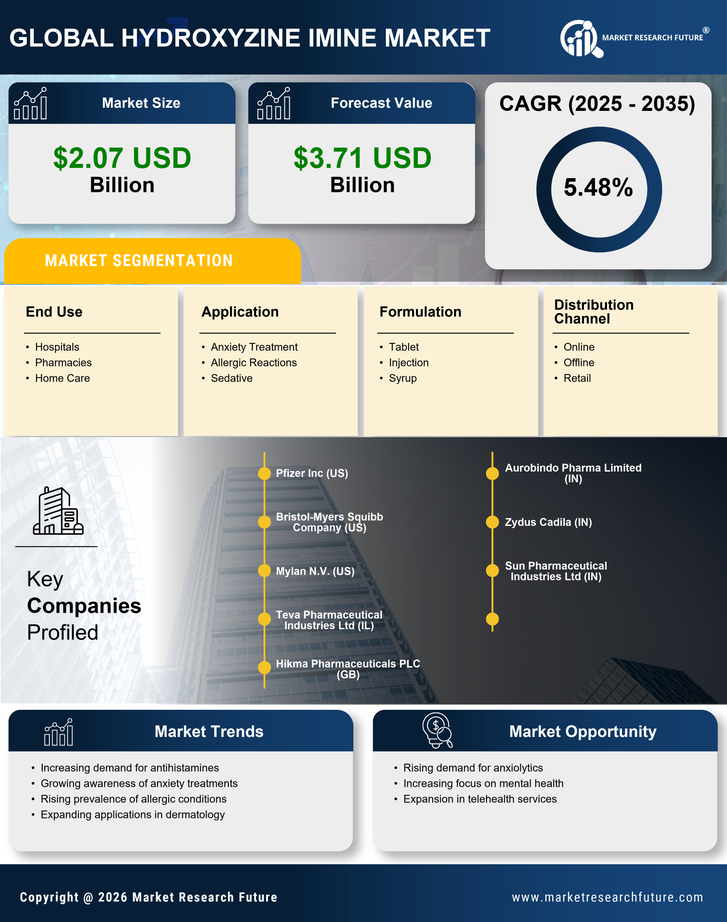 Hydroxyzine Imine Market Research Report — Global Forecast till 2035 Infographic