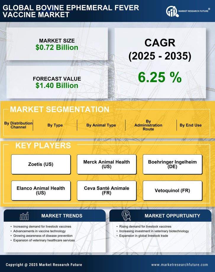 Bovine Ephemeral Fever Vaccine Market Research Report — Global Forecast till 2035 Infographic