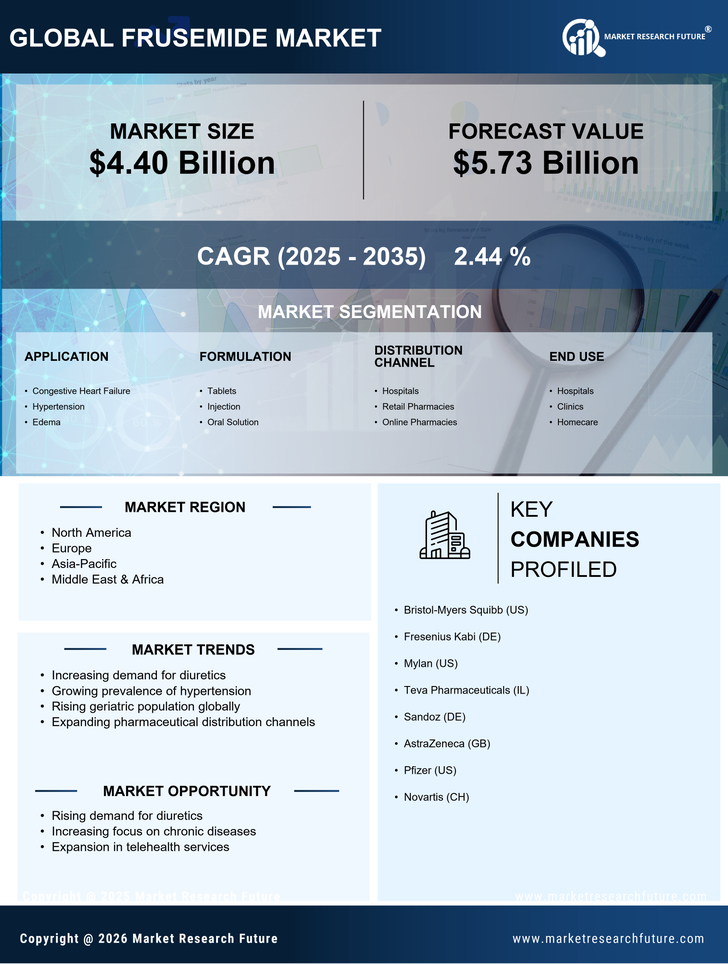 Frusemide Market Research Report — Global Forecast till 2035 Infographic