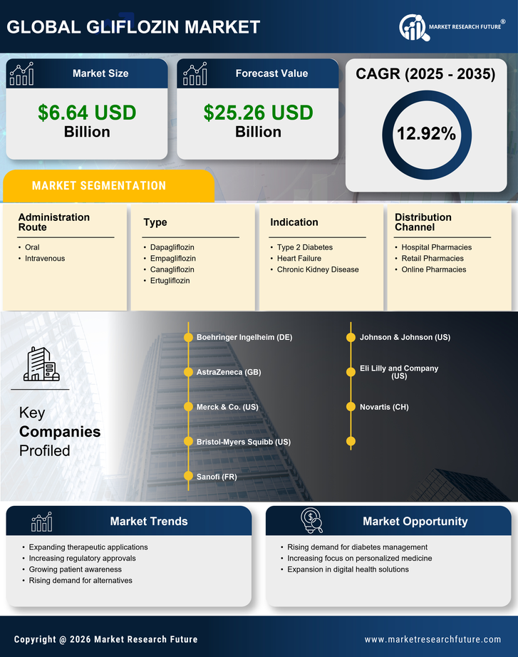 Gliflozin Market Research Report — Global Forecast till 2035 Infographic
