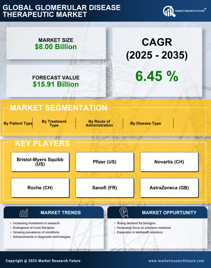 Glomerular Disease Therapeutic Market Research Report — Global Forecast till 2035 Infographic