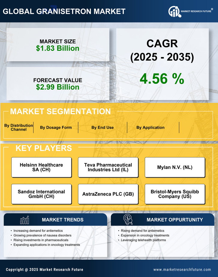 Granisetron Market Research Report - Global Forecast to 2035 Infographic