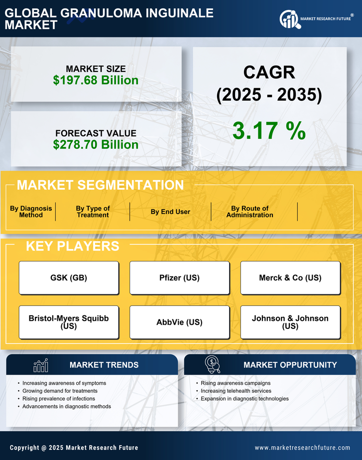 Granuloma Inguinale Market Research Report - Forecast 2035 Infographic