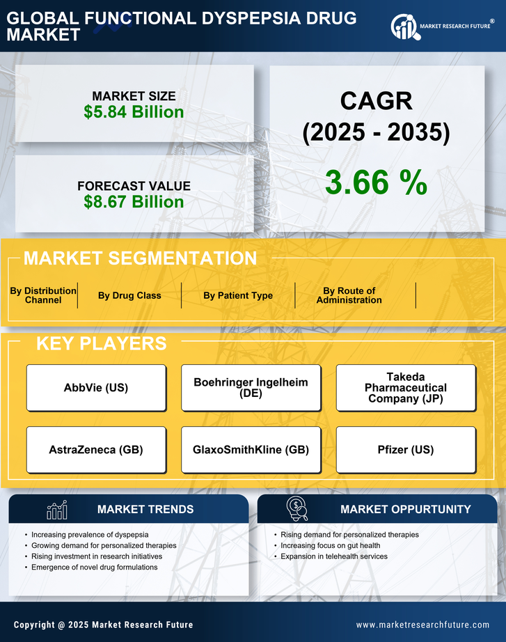 Functional Dyspepsia Drug Market Research Report - Forecast Till 2035 Infographic