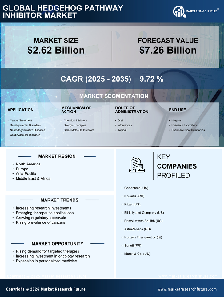 Hedgehog Pathway Inhibitor Market Research Report — Global Forecast till 2035 Infographic