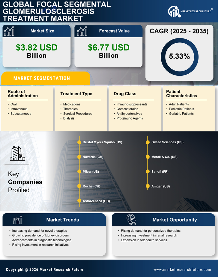 Focal Segmental Glomerulosclerosis Treatment Market Research Report — Global Forecast till 2035 Infographic