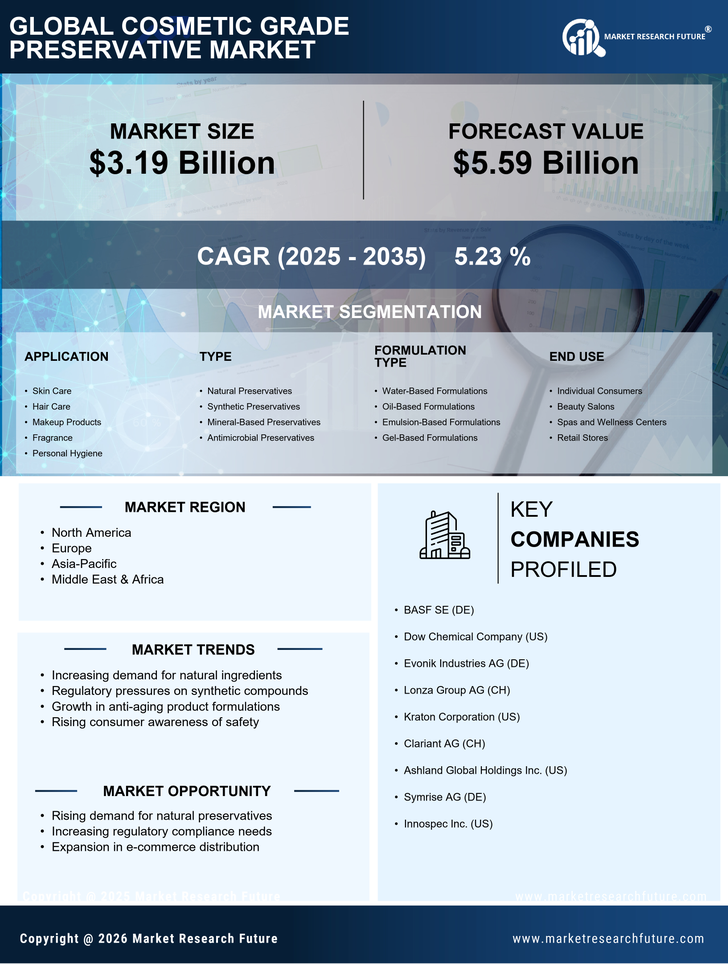 Cosmetic Grade Preservative Market Research Report — Global Forecast till 2035 Infographic