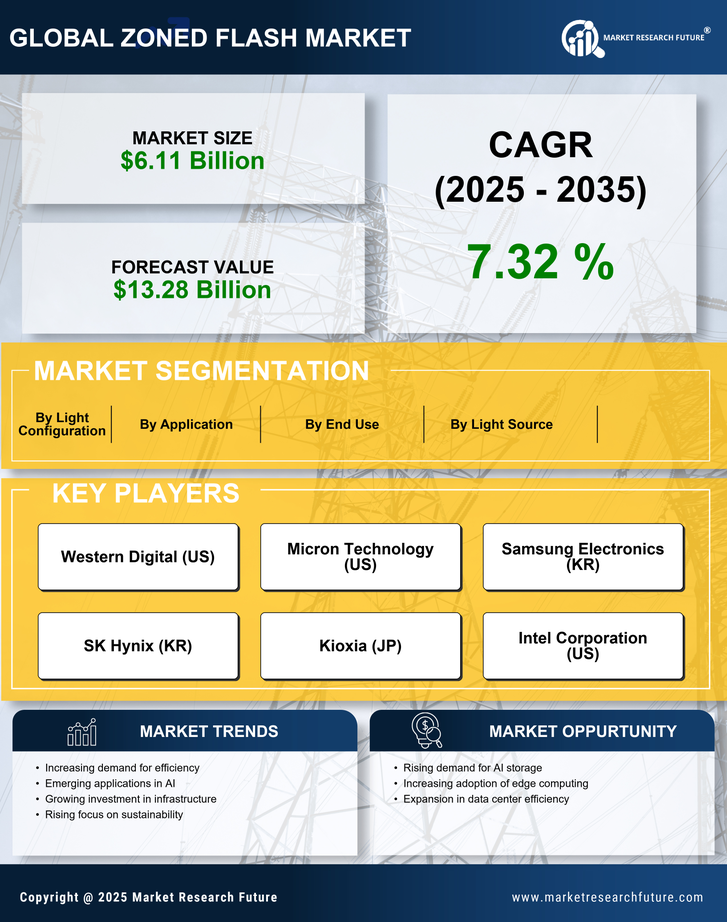 Zoned Flash Market Research Report — Global Forecast till 2035 Infographic