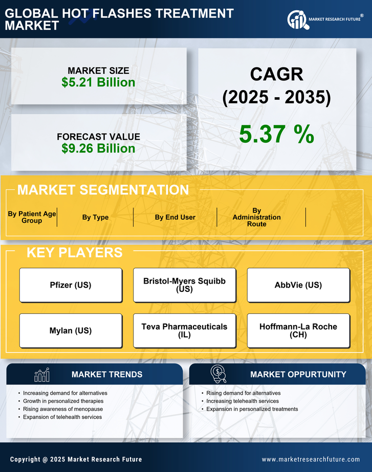 Hot Flashes Treatment Market Research Report — Global Forecast till 2035 Infographic