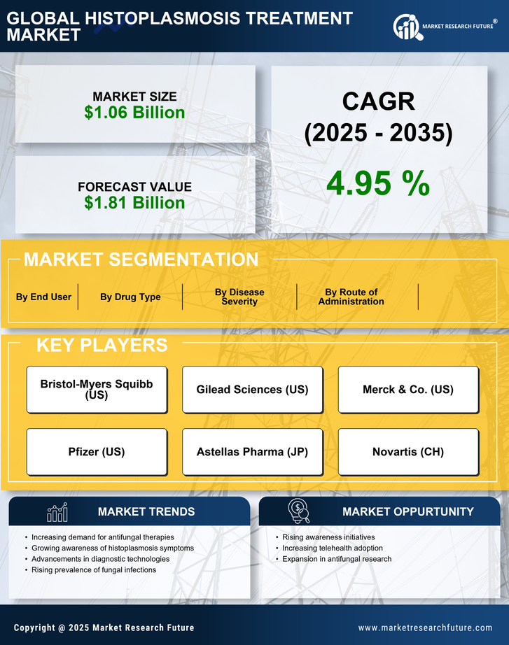 Histoplasmosis Treatment Market Research Report — Global Forecast till 2035 Infographic
