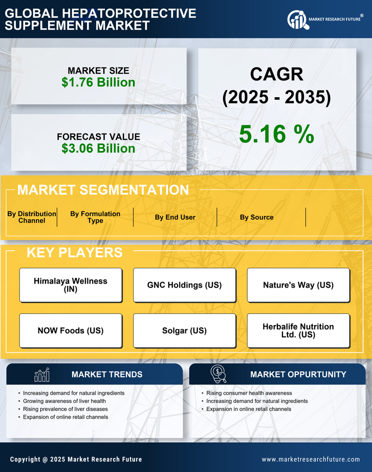 Hepatoprotective Supplement Market Research Report — Global Forecast till 2035 Infographic