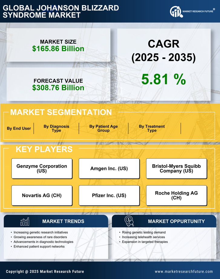 Johanson Blizzard Syndrome Market Research Report — Global Forecast till 2035 Infographic