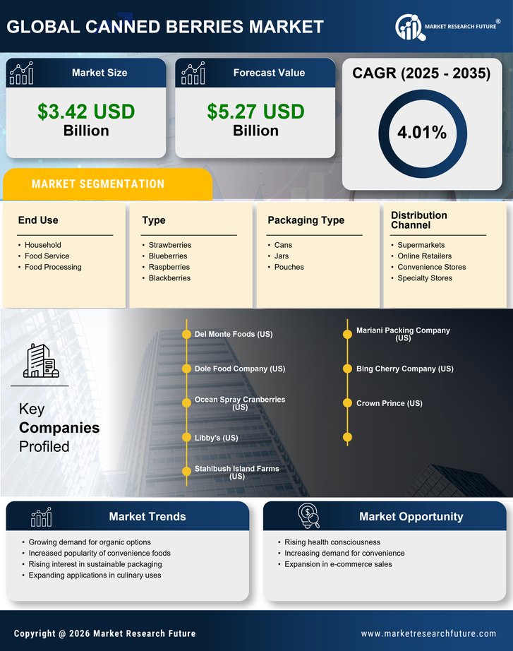 Canned Berries Market Infographic