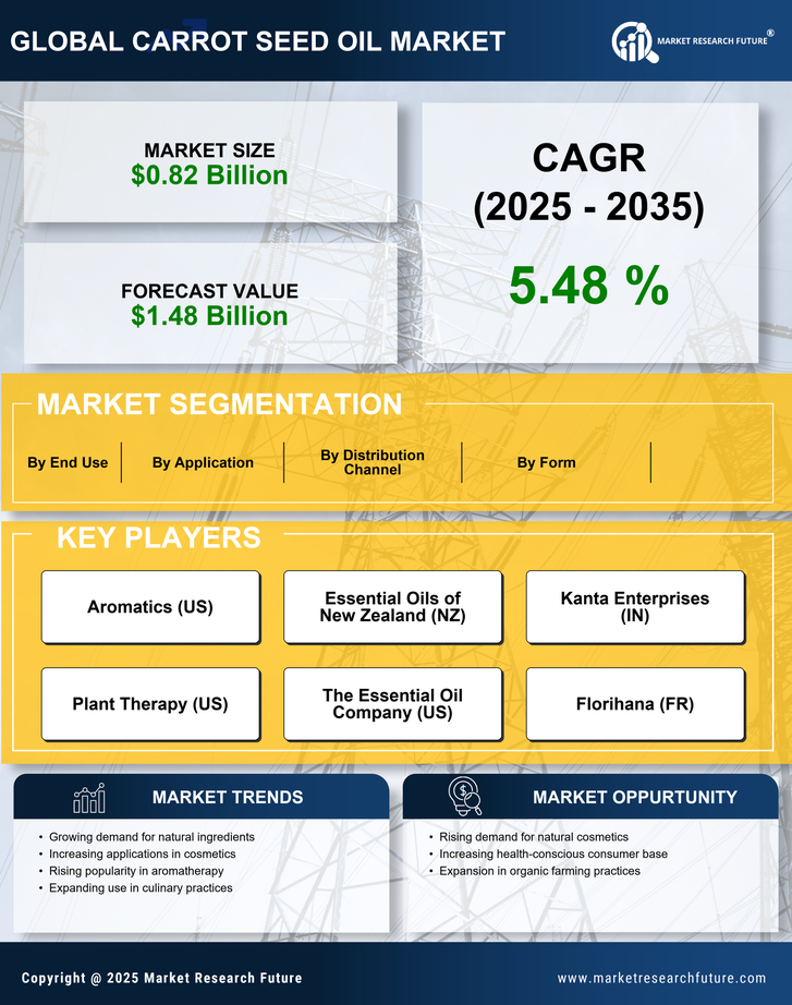 Carrot Seed Oil Market Research Report — Forecast till 2035 Infographic