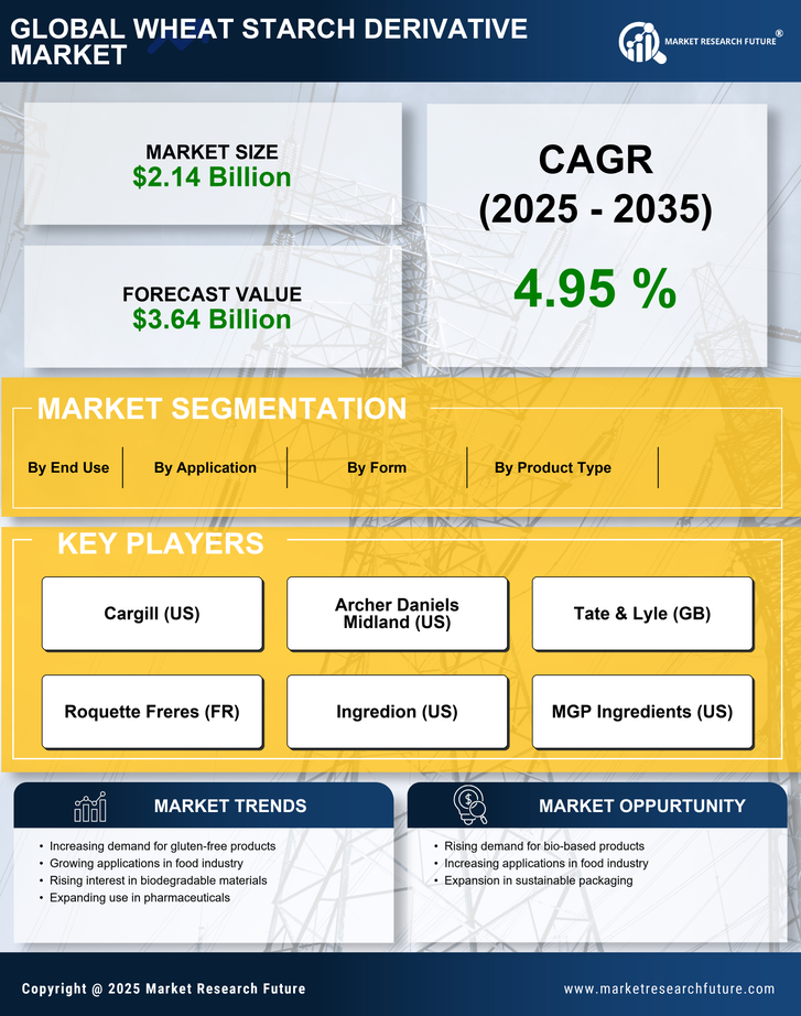 Wheat Starch Derivative Market Infographic