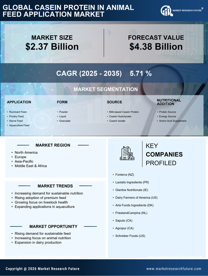 Casein Protein in Animal Feed Application Market Infographic