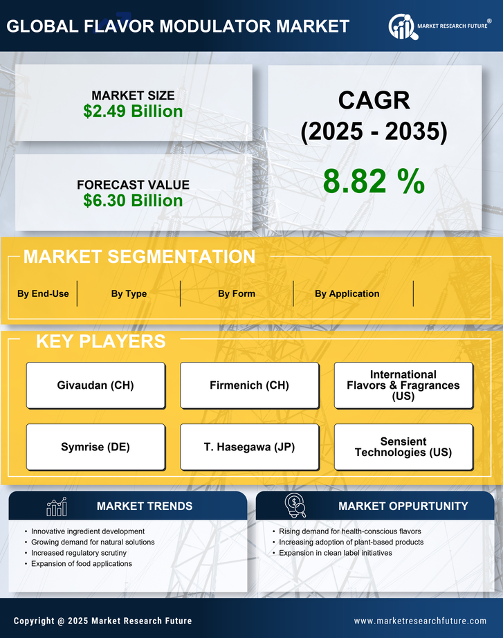Flavor Modulator Market Research Report — Global Forecast till 2035 Infographic