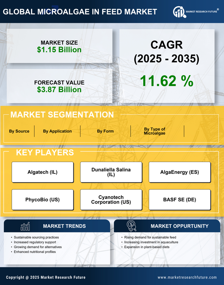 Microalgae in Feed Market Research Report — Global Forecast till 2035 Infographic