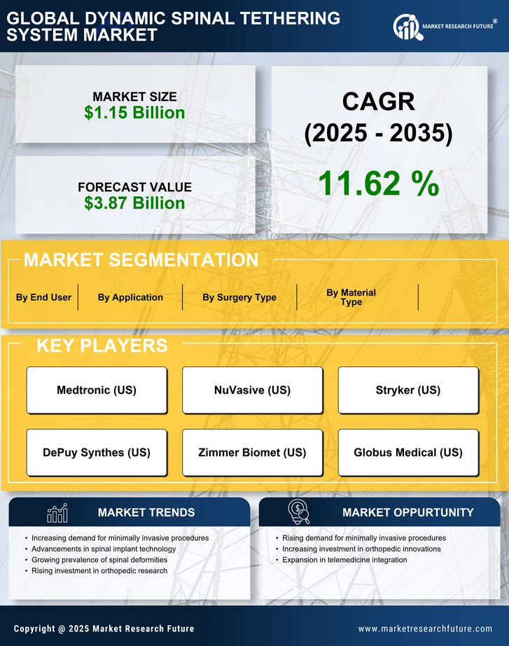 Dynamic Spinal Tethering System Market Research Report — Global Forecast till 2035 Infographic