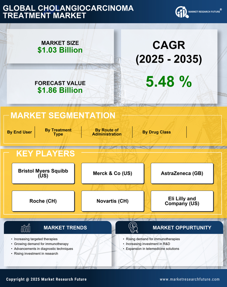 Cholangiocarcinoma Treatment Market Research Report — Global Forecast till 2035 Infographic