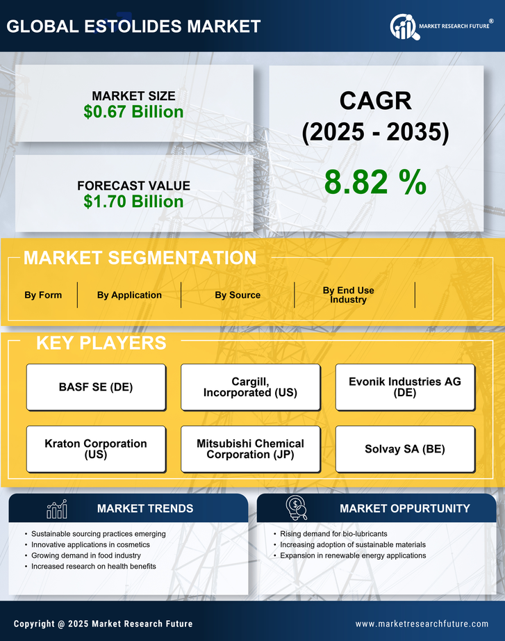 Estolides Market Research Report - Global Forecast by 2035 Infographic