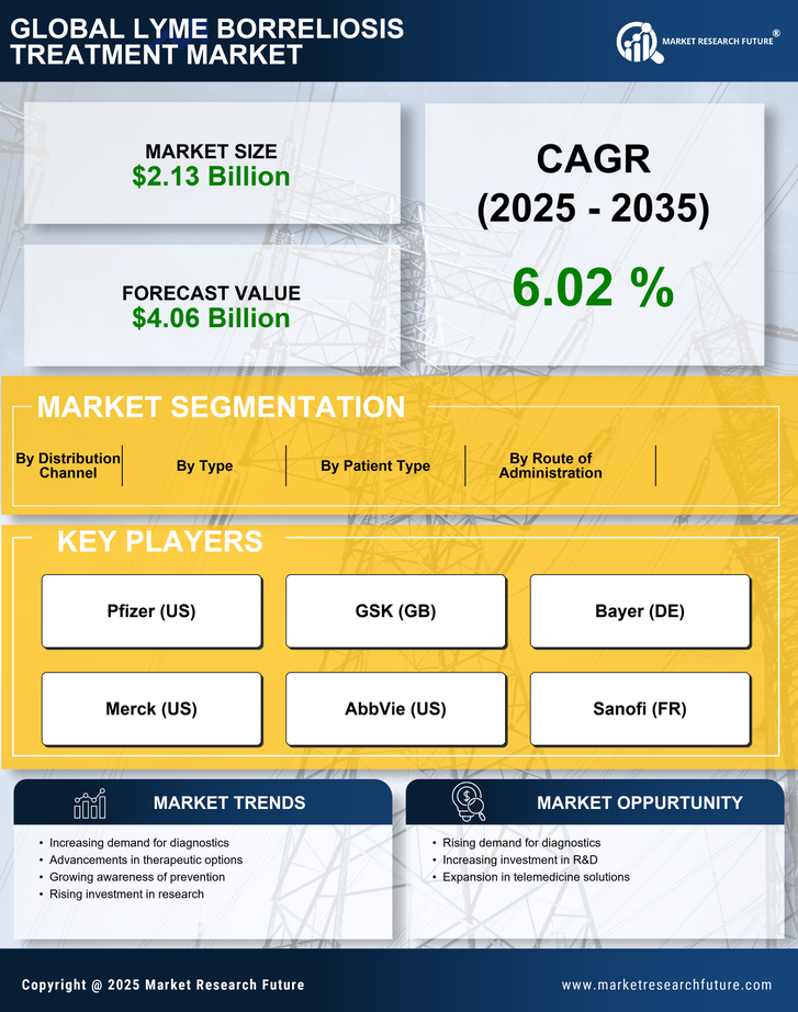Lyme Borreliosis Treatment Market Research Report — Global Forecast till 2035 Infographic