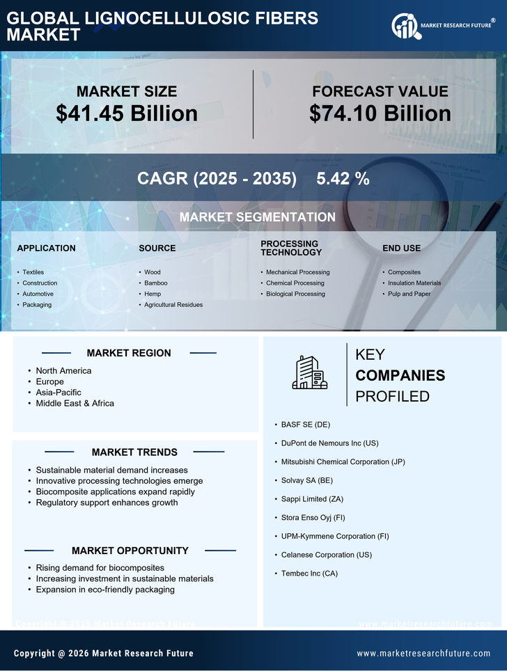 Lignocellulosic Fibers Market Research Report - Global Forecast by 2035 Infographic