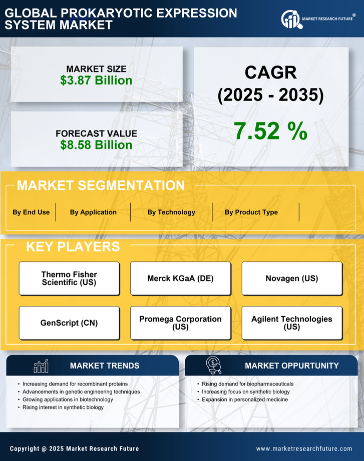 Prokaryotic Expression System Market Research Report — Global Forecast till 2035 Infographic