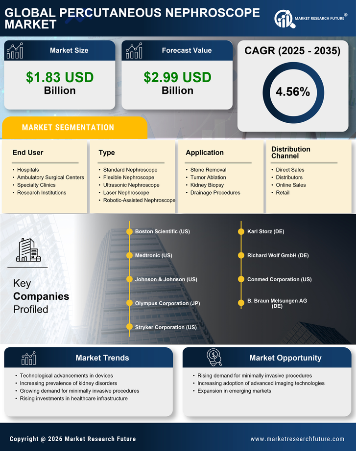 Percutaneous Nephroscope Market Research Report — Global Forecast till 2035 Infographic