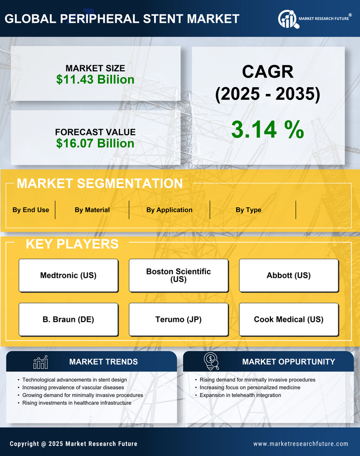 Peripheral Stent Market Research Report — Global Forecast till 2035 Infographic