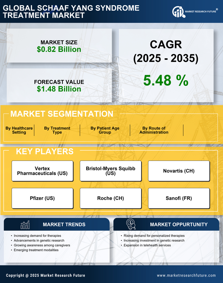 Schaaf Yang Syndrome Treatment Market Research Report — Global Forecast till 2035 Infographic