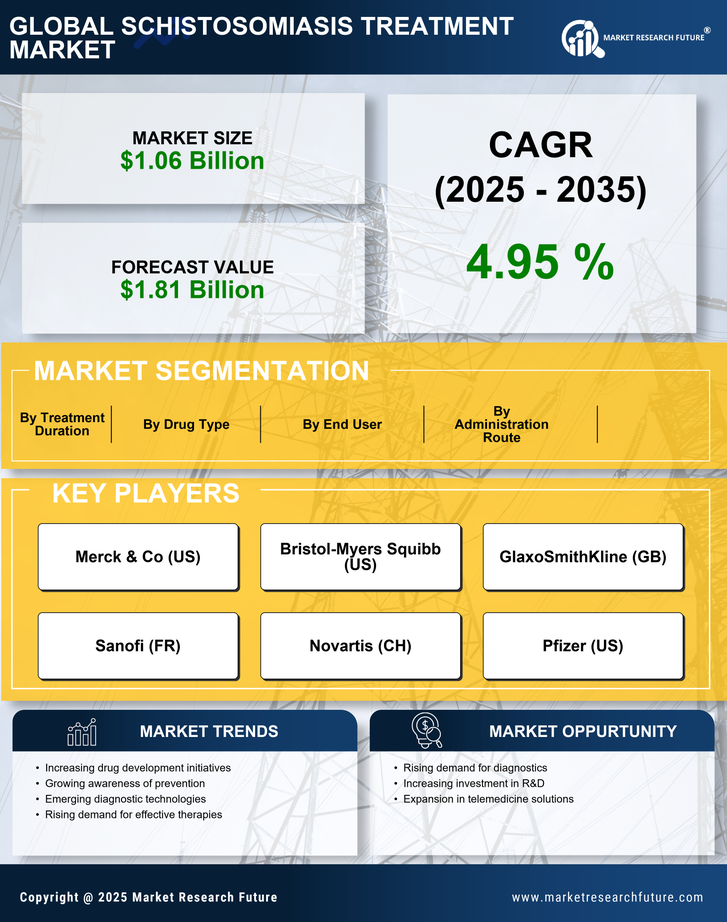 Schistosomiasis Treatment Market Infographic