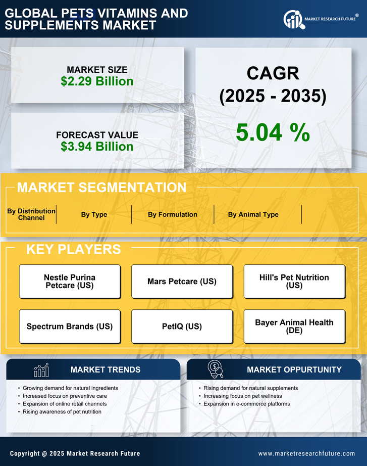 Pets Vitamins and Supplements Market Research Report — Global Forecast till 2035 Infographic