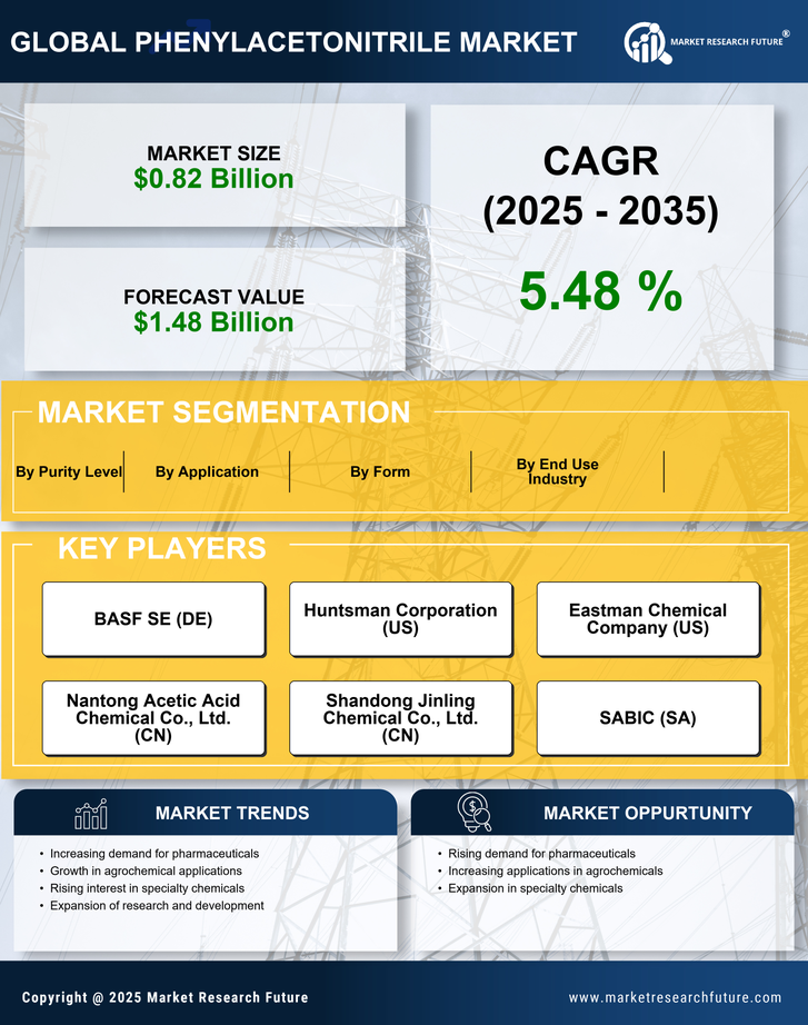 Phenylacetonitrile Market Research Report — Global Forecast till 2035 Infographic