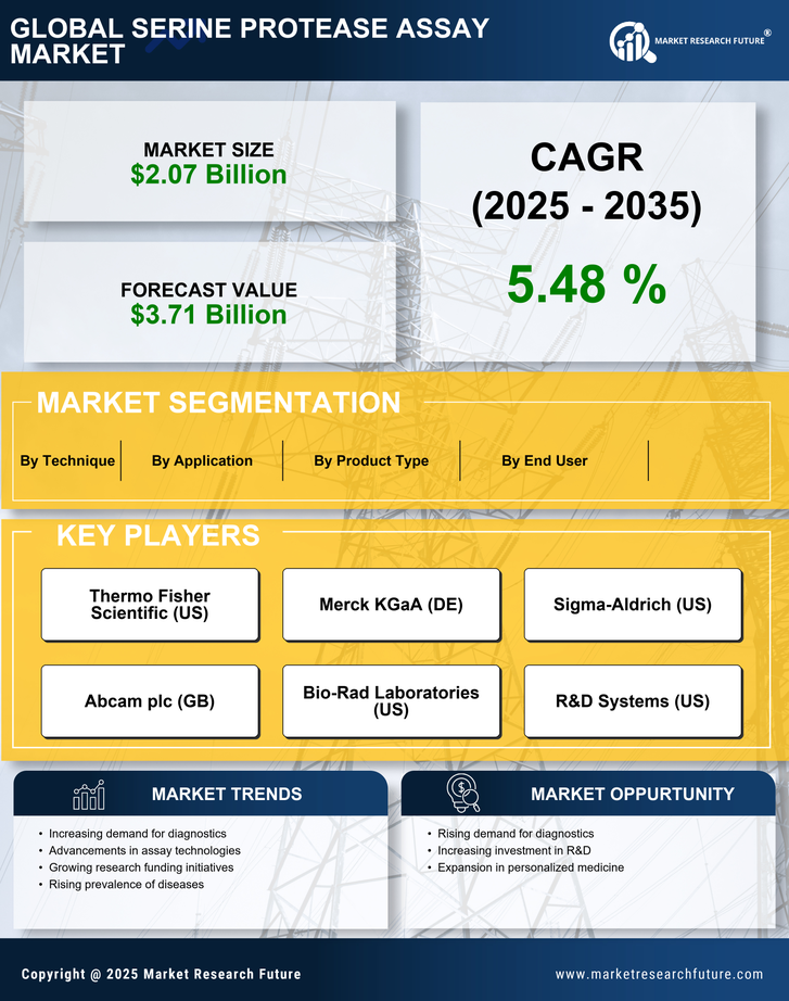 Serine Protease Assay Market Research- Forecast To 2035 Infographic