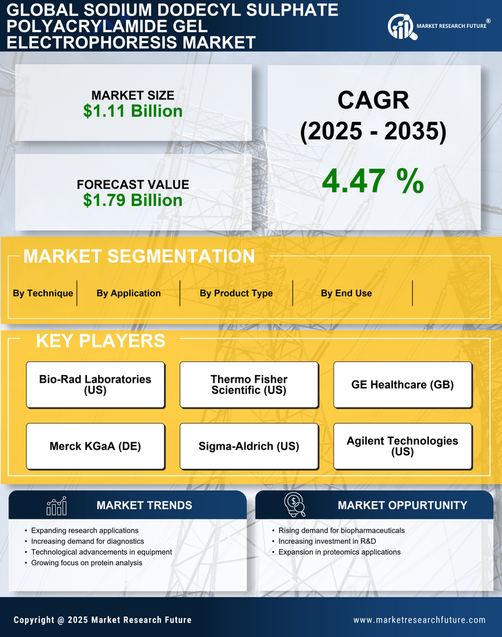 Sodium Dodecyl Sulphate Polyacrylamide Gel Electrophoresi Market Research Report - Global Forecast till 2035 Infographic