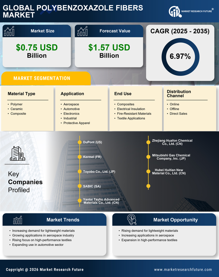 Polybenzoxazole Fibers Market Research Report — Global Forecast till 2035 Infographic