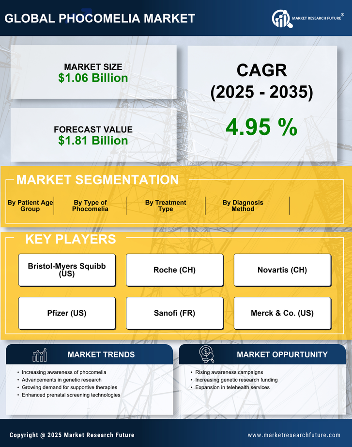 Phocomelia Market — Global Forecast till 2035 Infographic