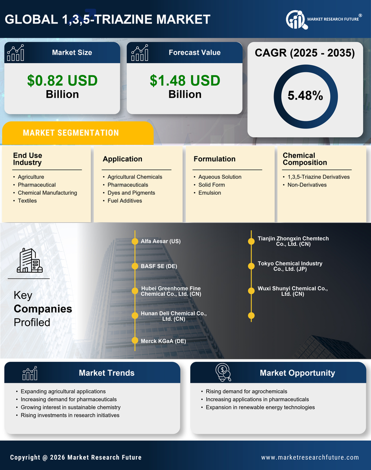 1, 3, 5-Triazine Market Research Report- Global Forecast till 2035 Infographic