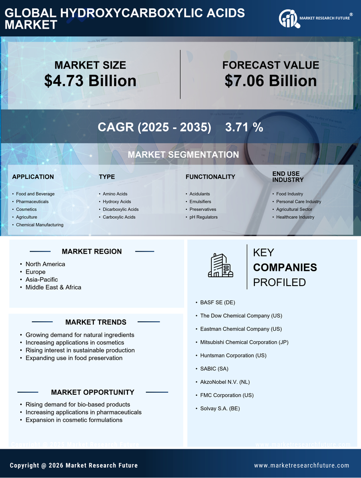 Hydroxycarboxylic Acids Market Research Report - Global Forecast till 2035 Infographic