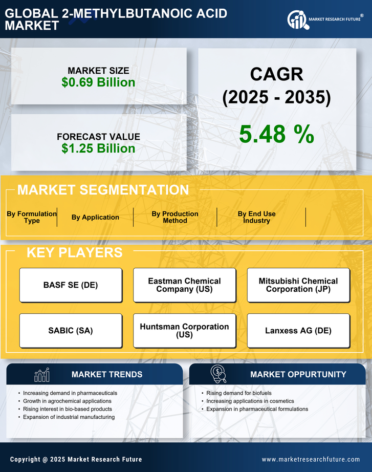 2-Methylbutanoic Acid Market Research Report- Global Forecast till 2035 Infographic