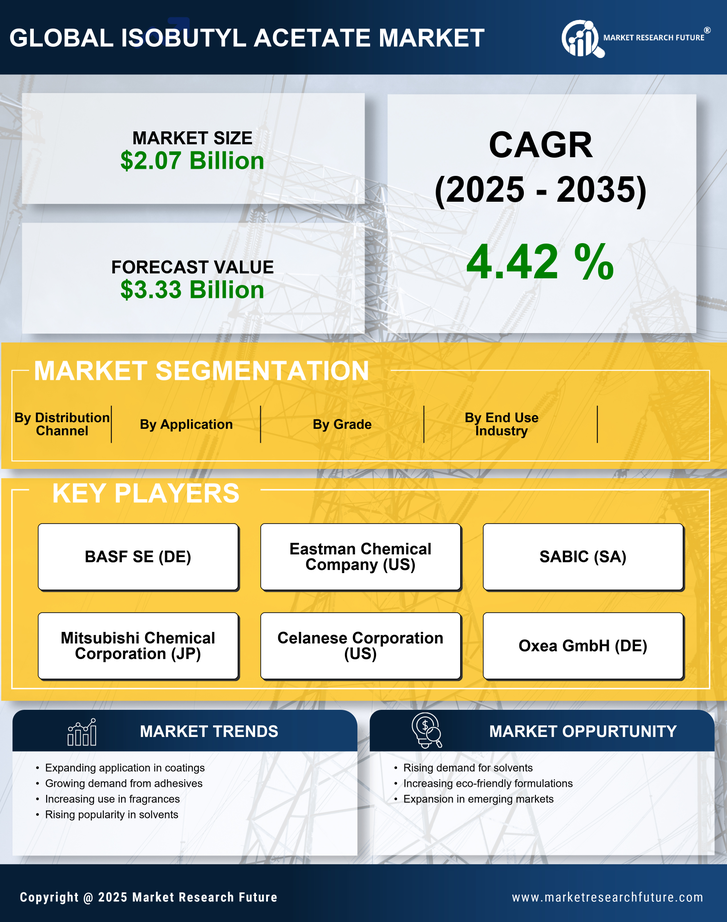 Isobutyl Acetate Market Research Report — Global Forecast till 2035 Infographic