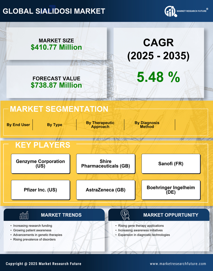 Sialidosi Market Research Report — Global Forecast till 2035 Infographic