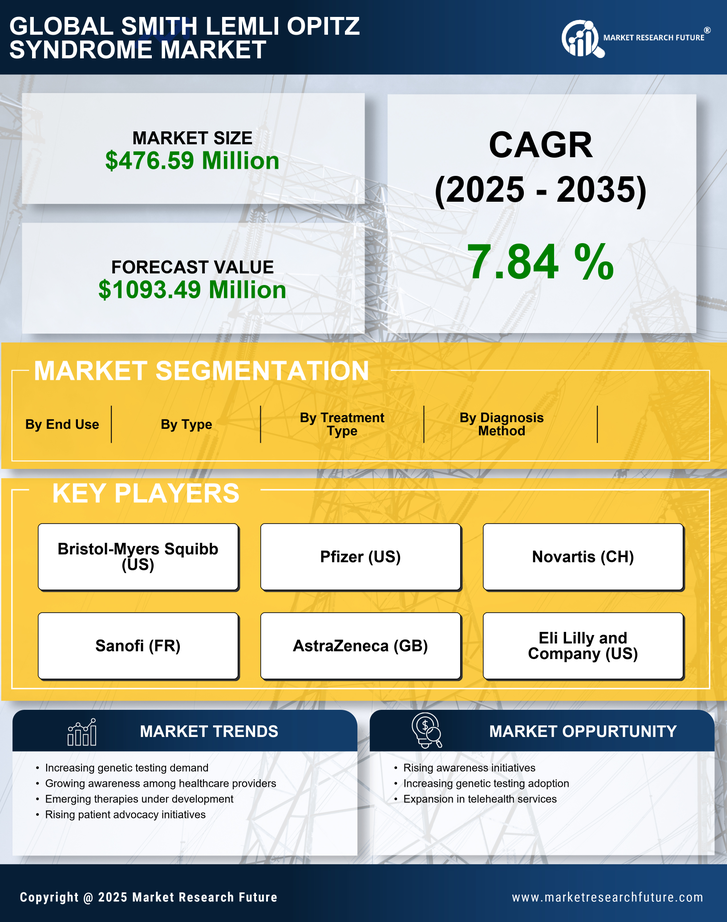 Smith Lemli Opitz Syndrome Market Research Report — Global Forecast till 2035 Infographic